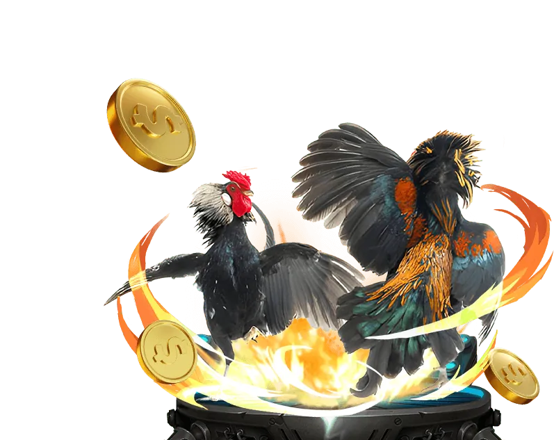 Nhiệm vụ hàng ngày ff168